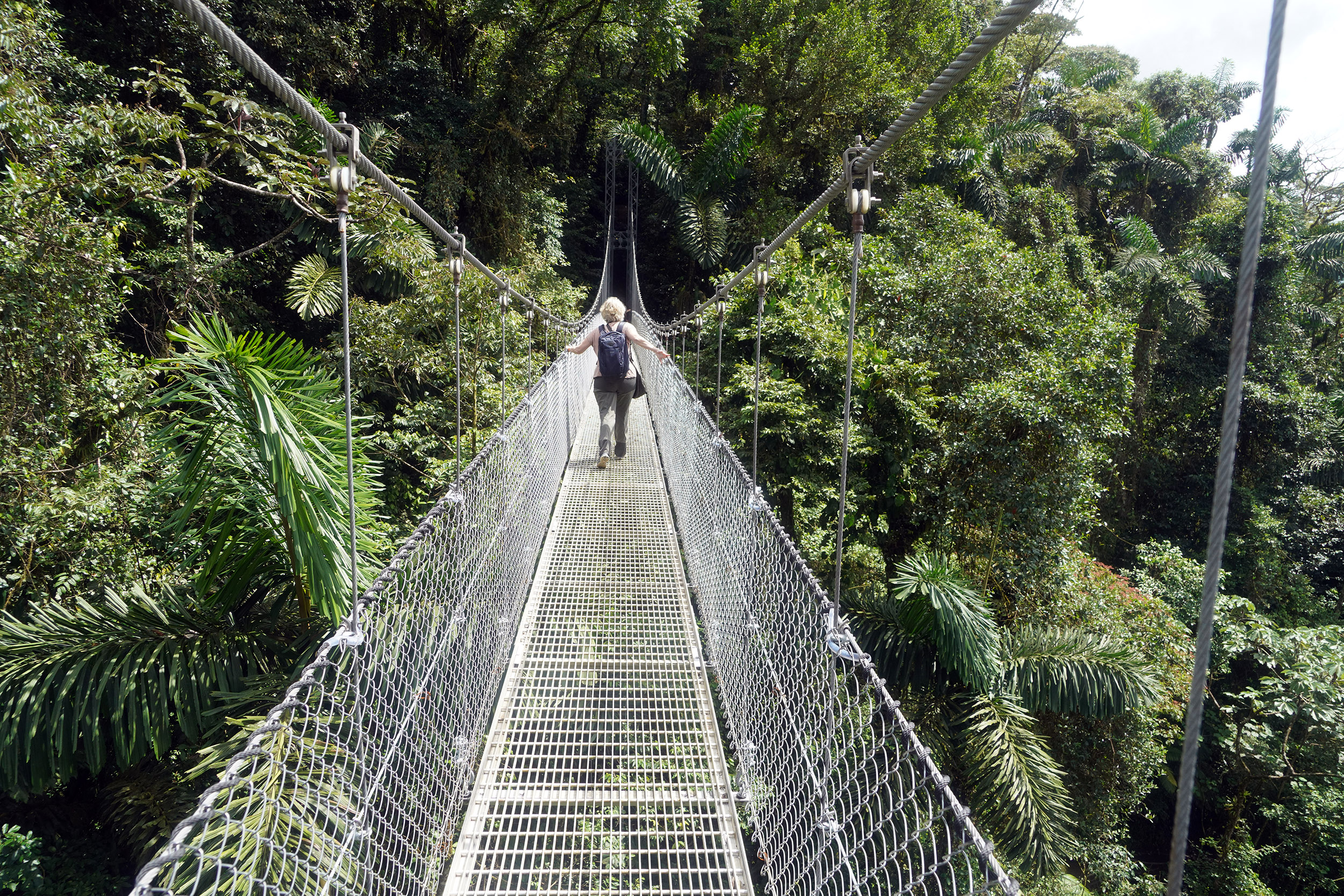 Costa Rica - Février 2025